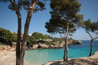 Families in focus at Mallorca Farmhouses