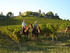 French riding and wine 
