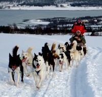 Arctic adventures in Tromsø