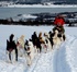 Arctic adventures in Tromsø 