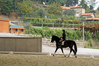 Equine adventures in Portugal