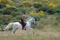 Sierra De Gredos from the saddle