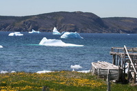 Experience the wilds of Newfoundland