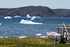 Experience the wilds of Newfoundland 