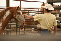 Experience the wide open spaces of the Wild West