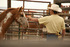 Experience the wide open spaces of the Wild West 