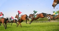 Hedge your bets: Top destinations to experience the ‘Sport Of Kings’