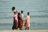 An African genesis