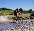 Pedal power - Holidaymakers think 'green' 
