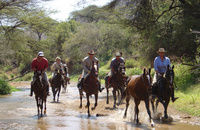 Suruai Safari - Kenya on horseback