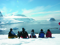 Art and wildlife in the Antarctic