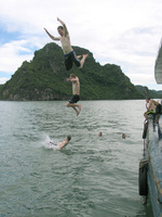 Wildlife or noodles - Summer adventures for all the family