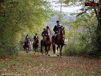 Saddle-up in France