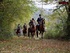 Saddle-up in France 