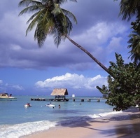 Escape the UK's summer washout and head to the Caribbean