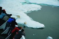 See both sides of the Arctic story