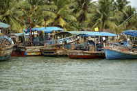 Spicy trails - India's Kerala