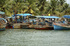 Spicy trails - India's Kerala    