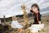 Get ready for British Beachcombing Weekend 