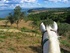 Castle hopping by horseback in Tuscany 