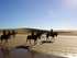 Uruguay on horseback 