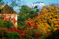 Weekend breaks to beat the credit crunch