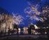See what Europe’s Christmas markets have to offer