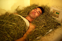 Fancy a roll in the hay?