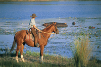 Spring has sprung - Horse riding in South Africa