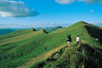 Steppe into the Auvergne Steppe into the Auvergne