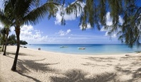 Banish those winter blues