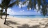 Banish those winter blues 