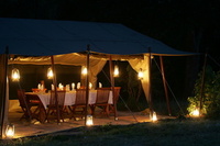 Credit crunch beating safaris
