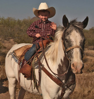 Say ‘Howdy’ - Not cloudy, this October half-term