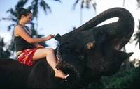 Ethical holidays top of consumer's holiday wishes