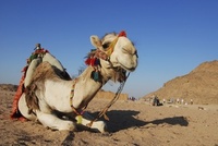 Redundant bankers offered discounted holiday