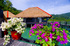 Borneo to be wild 