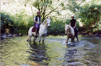 An Australian riding adventure