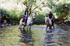 An Australian riding adventure  