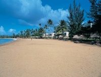 Escape the winter blues with Tropical Sky