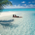 Love is in the air at Tropical Sky 