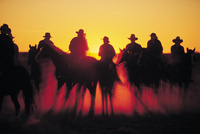 Sunsets, saddles & Shiraz - Cattle droving in Australia Sunsets, saddles & Shiraz - Cattle droving in Australia