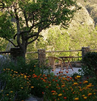 Discover Spain’s culinary delights