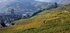Take the history trail to Alsace 