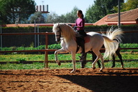 Autumnal Andalucia - Spanish riding holidays