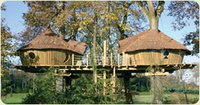 Sky high demand for Keycamp tree houses