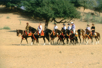 Head to Rajasthan for some alternative January sales