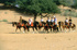 Head to Rajasthan for some alternative January sales 
