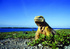Discover Darwin  