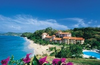 Escape the winter blues